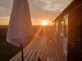 The Sunset 